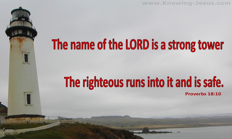 Proverbs 18:10 The Name Of The Lord Is A Strong Tower (red)